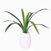 uploads/erp/collection/images/Home Garden/CongDing/XU0611271/img_b/XU0611271_img_b_5